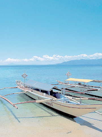 잠발레스 호핑 투어